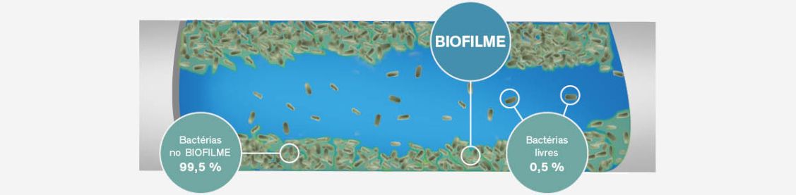 BIOFILME